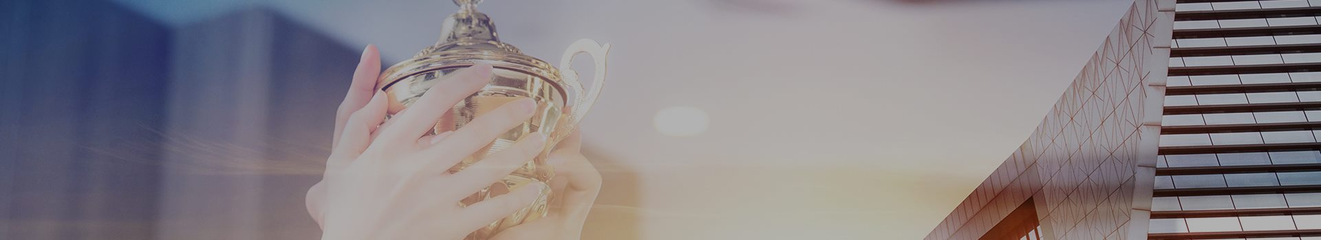 成功(gong)案例(li)